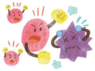 免疫細胞ががん細胞を攻撃しているイメージイラスト