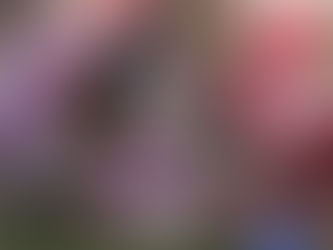 Mark Your Calendars – Germain Street Open Tees Off October 18th!