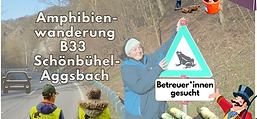 Wir helfen Amphibien beim Überqueren der B33!
Gesucht werden wieder Zaunbetreuer*innen für die Zaunbetreuung: Morgens oder Abends