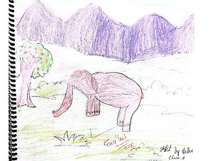 Elephant in Jungle
