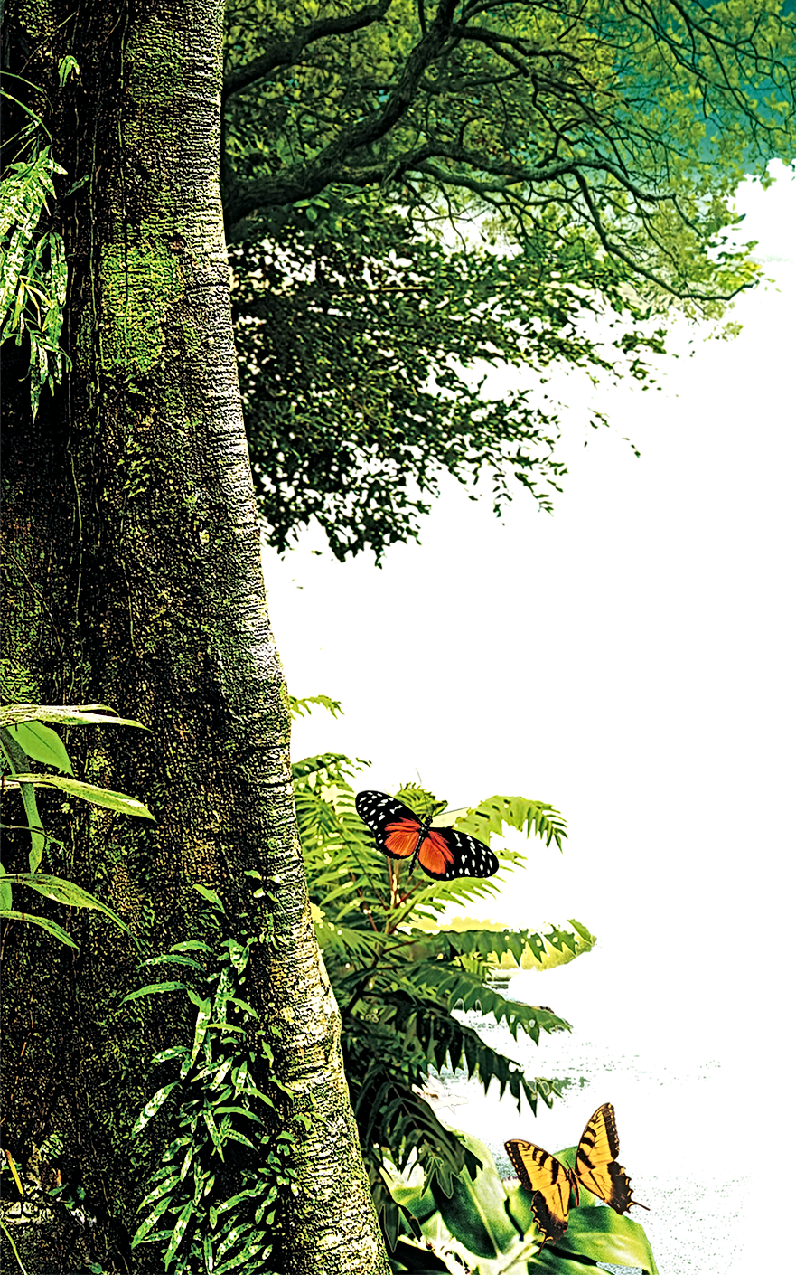 hiclipart.com (2).png