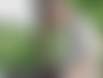 It's Time to Plan for a Fall Vegetable & Herb Garden.