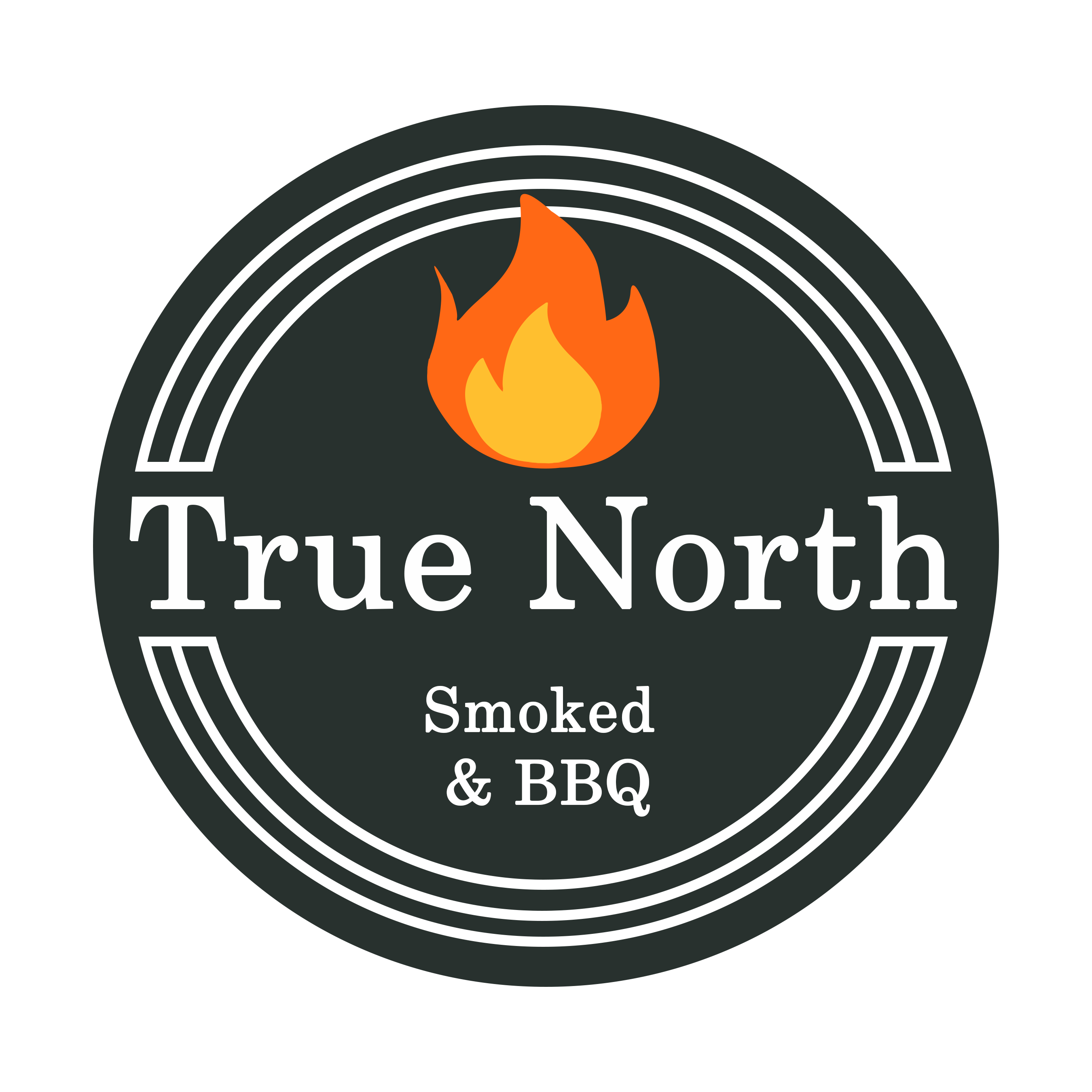 True North Logo