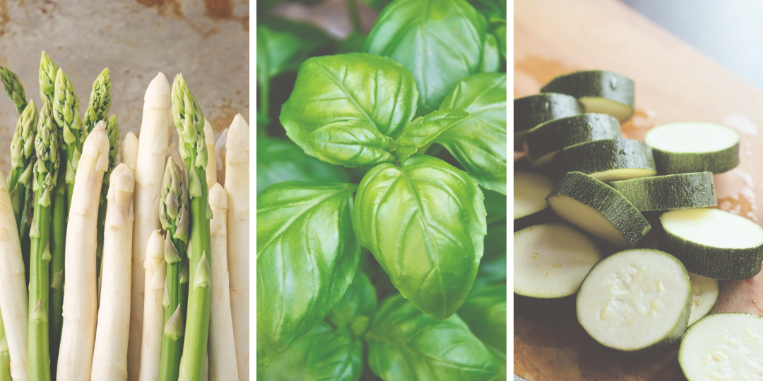 Asperge & Courgette met Basilicumsaus - lente recept