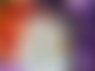 La collezione della Primavera in Sicilia