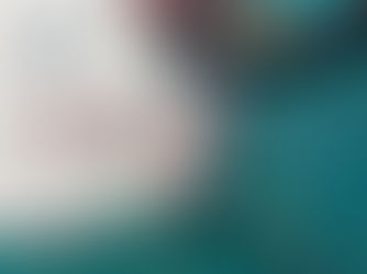 Le maioliche delle feste