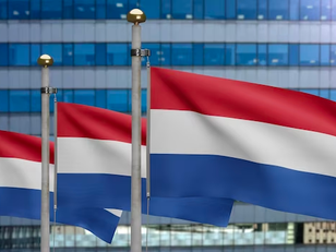 荷蘭政府推出7,000萬歐元資助計劃，加速太陽能製造業發展！