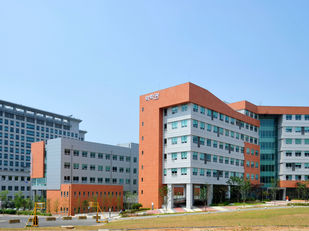 韓東國大學研究出「特定溶劑」    提高鈣鈦礦太陽能電池穩定性