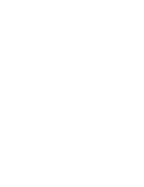 Numinous Bloom WHite logo.png