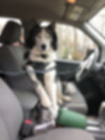 6091.jpeg