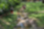 exploring the ditch_edited.jpg
