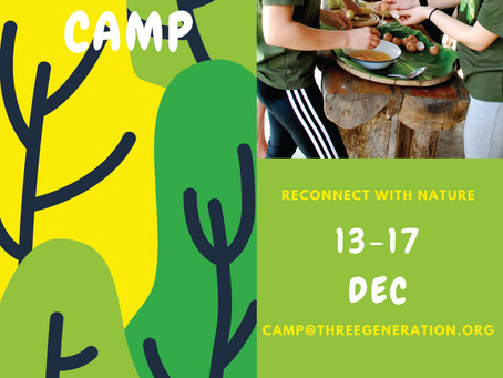 Traidhos Winter Camp