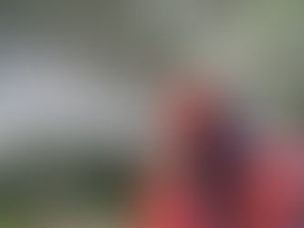 Traidhos Junior Fire Camp