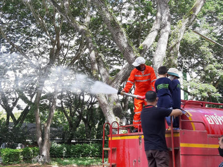 Traidhos Junior Fire Camp