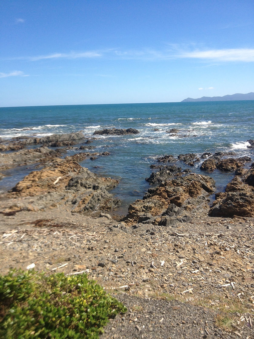 IMG_0226.jpeg