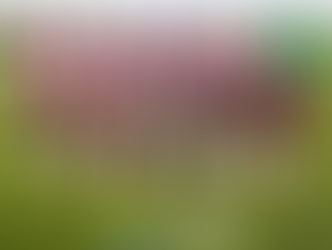 Gunjur United Handed First Home Defeat by Unique Global FC