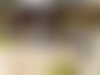 BUSINESS: Babucarr E. Camara,Founder Best Choice Poultry Farm