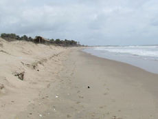 ENVIRONMENT: Promoting Fish Meal Production At The Expense Of Future Environmental And Ecological Im