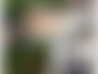 Breaking news: Golden Lead in criminal scandal over fake document