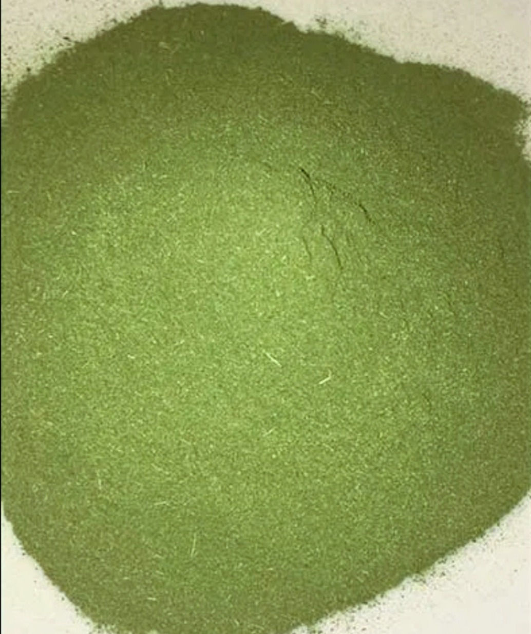 Moringa 100g
