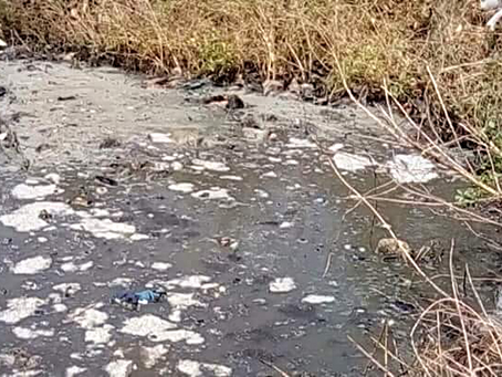 Kitty cries for help, as Golden Lead environmental degradation spreads
