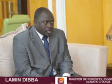 Open letter to the Minister of Environment and Forestry