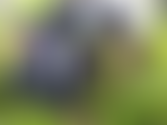 Bombshell: Alkalo indicts VDC over financial scandal