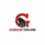 Gunjur Online logo