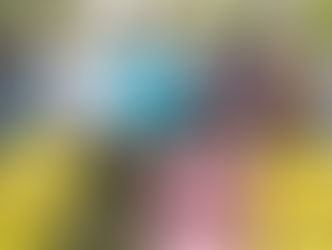 Niumi UDP chapter adopts Amadou Scattred Janneh as father