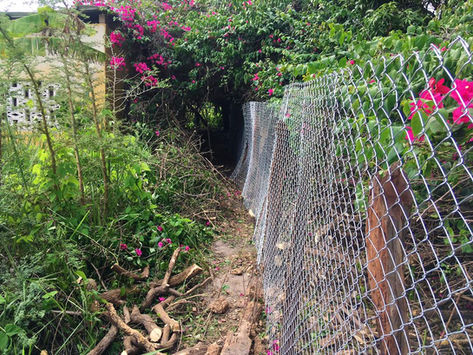 Gunjur Ward Development Committee Completes Fencing Project at Holland Women Community Garden