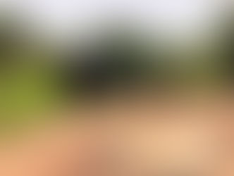 𝐏𝐨𝐥𝐢𝐜𝐞 𝐜𝐨𝐧𝐟𝐢𝐫𝐦 𝐚𝐫𝐫𝐞𝐬𝐭 𝐨𝐟 𝐟𝐢𝐯𝐞 𝐨𝐯𝐞𝐫 𝐚𝐥𝐥𝐞𝐠𝐞𝐝 𝐬𝐞𝐢𝐳𝐮𝐫𝐞 𝐨𝐟 𝐁𝐞𝐫𝐞𝐧𝐝𝐢𝐧𝐠 𝐀𝐥𝐤𝐚𝐥𝐨