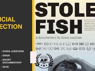 Press Release: The FIRST screening of STOLEN FISH (featuring ST's song) across Africa / 20-24 July