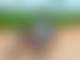 Opinion: The Growing Popularity of ‘Jakarita’ in Gunjur Calls for Urgent Safety Regulations and Standards