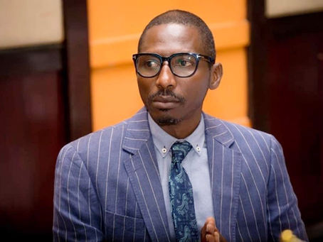 Nyang Njie lambasts Barrow’s ‘low-value, under achieving’ advisers