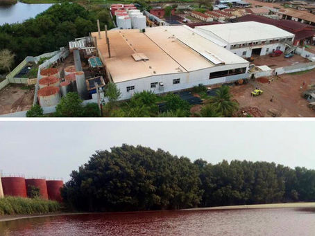 Legal: Gunjur vs Golden Lead at the High Court