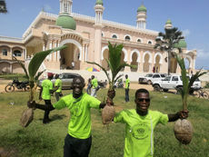 Operation Green Up Gunjur concludes with planting of 21 coconut trees