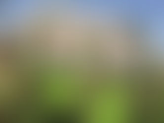 Operation Green Up Gunjur concludes with planting of 21 coconut trees