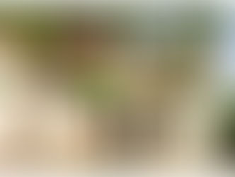 Strong winds cause massive distruption in and around Gunjur