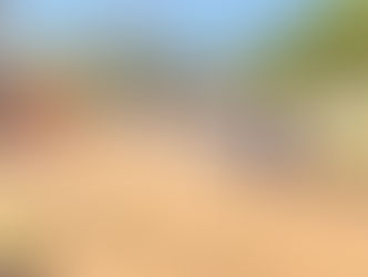 𝐁𝐫𝐞𝐚𝐤𝐢𝐧𝐠: 𝐆𝐮𝐧𝐣𝐮𝐫 𝐀𝐥𝐢𝐤𝐚𝐥𝐨 𝐜𝐚𝐥𝐥𝐬 𝐟𝐨𝐫 𝐜𝐚𝐥𝐦 𝐚𝐦𝐢𝐝 𝐚𝐫𝐫𝐞𝐬𝐭𝐬