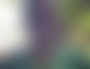 Chief Lamin Darboe: I rejected offers of governor, chieftaincy positions under Jammeh