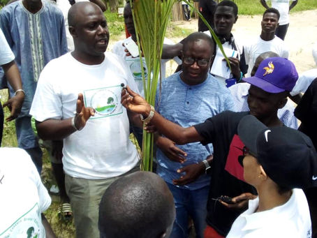 Concerned Environmental Group plants hundreds of trees in Gunjur
