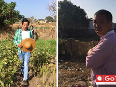 Injunction granted barring Golden Lead from women vegetable garden at Gunjur beach