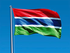 Opinion: A Nation of Insulters: Gambian Politics and Insults