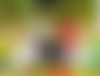 Gunjur United Secures Home Win Against Baalor Sarr