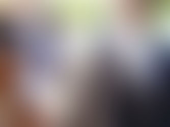 The Constitutional Review Commission is unlawfully constituted: a response to Madi Jobarteh