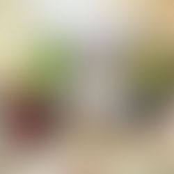 AFNOW Distributes Ramadan Food Items Worth Over D100,000 in Gunjur