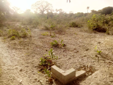 Gunjur Development Association — PRESS RELEASE