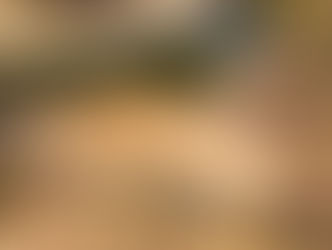 The great Chinese robbery: Golden Lead owns Gunjur beach as company leases it for 99 years