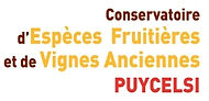 Puycelsi.jpg