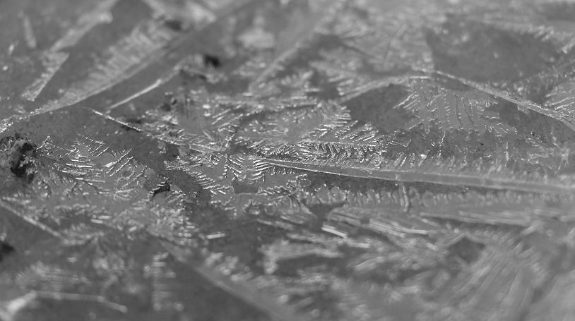 12615576_553601444815143_835203163850184